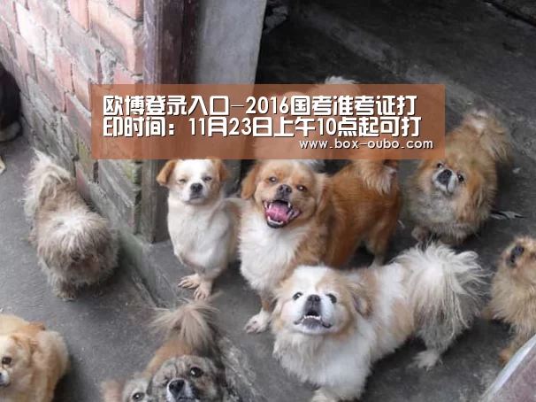 欧博登录入口-2016国考准考证打印时间:11月23日上午10点起可打印(图3) 欧博