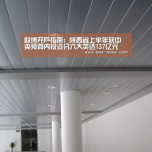 欧博开户指南:陕西省上半年获中央预算内投资分六大类达137亿元(图4) 欧博开户指南