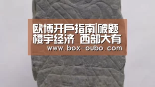 欧博开户指南|破题楼宇经济 西部大有可为(图2) 欧博开户指南