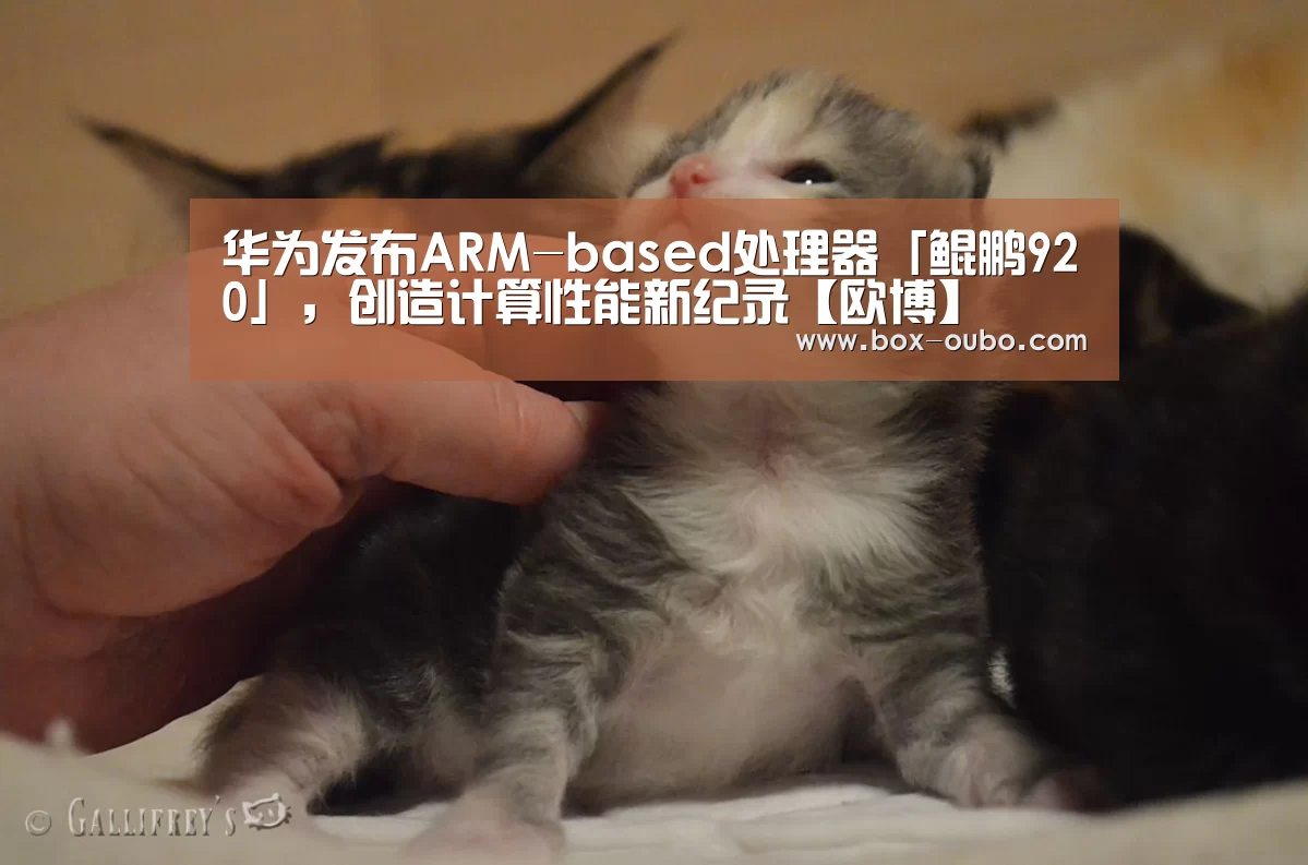 华为发布ARM-based处理器「鲲鹏920」,创造计算性能新纪录【欧博】(图4) 欧博开户指南