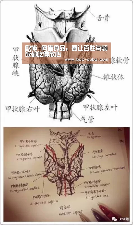 欧博-网售食品,要让百姓每顿饭都吃得放心(图4) 欧博开户指南