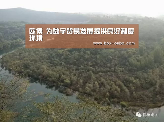 欧博_为数字贸易发展提供良好制度环境(图2) 欧博开户指南
