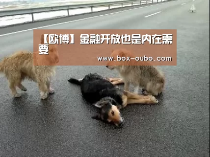 欧博登录入口