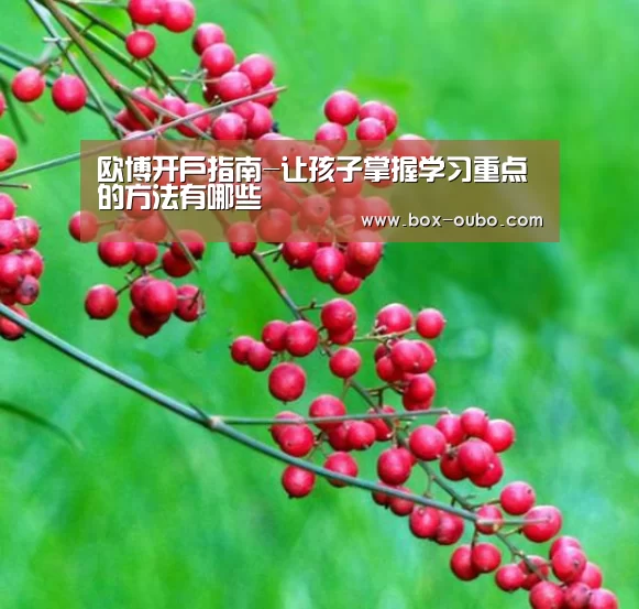 欧博开户指南-让孩子掌握学习重点的方法有哪些(图2) 欧博登录入口