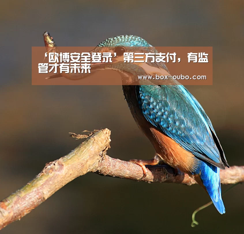 欧博安全登录